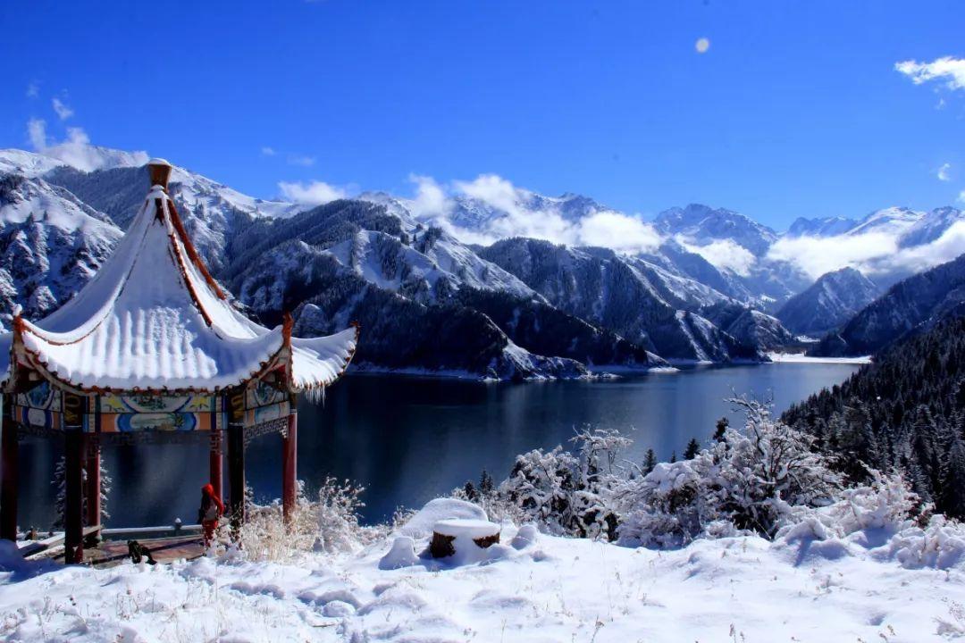非人学园